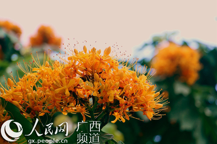 A7CE04E78A2E383F6484D5026D3_26C2696A_275F5.jpg?e=.jpg