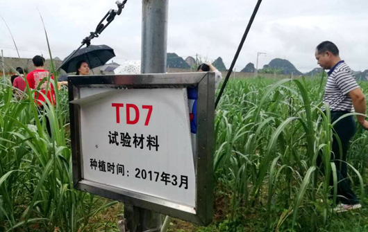 原来名称也丢了