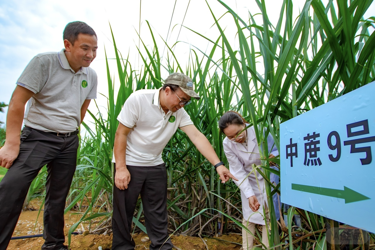                 我校教师获2025年广西“最美科技工作者”称号（2025-10-16）
